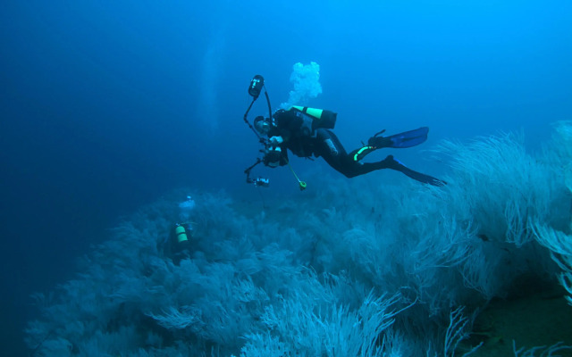 Djibouti Palace Kempinski