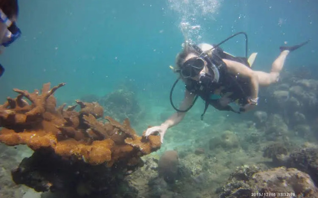 Scuba Portobelo
