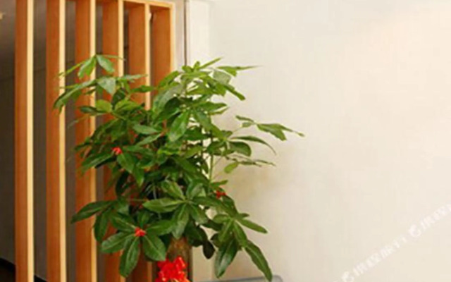 Pebble Motel (Zhangzhou Jiulong Avenue Wanda Plaza)