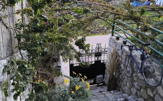 Pasha Bungalovs