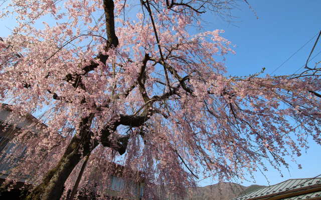 Taisho Motor Wir zen - Vacation STAY 88575