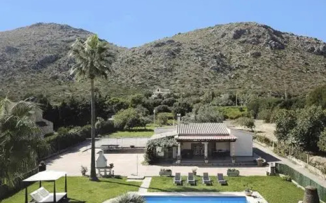 Green Palms