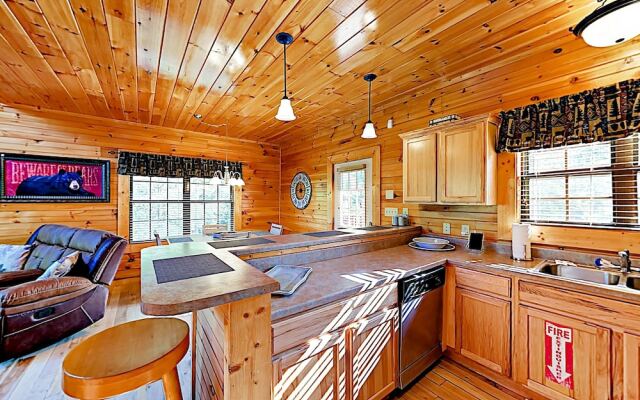 1268 Sevierville - 4 Br Cabin