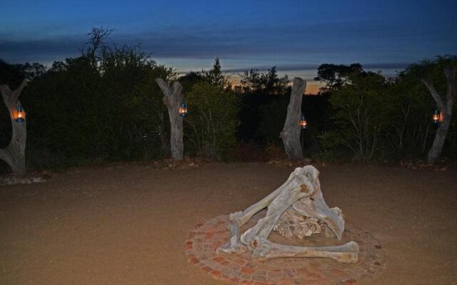 Wild Olive Tree Camp