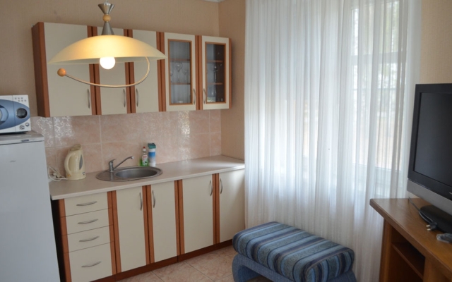 Solnechnyj bereg (Gomel')