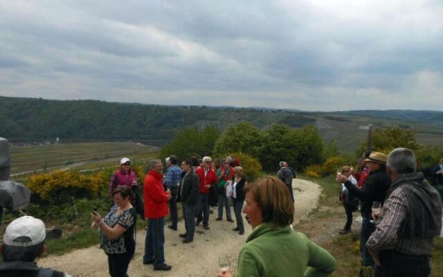 Holiday Home Weingut Mertes