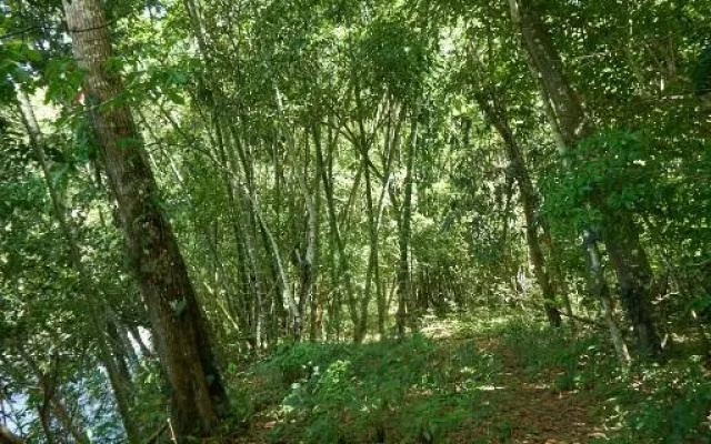 Hotel Campestre La Gaitana