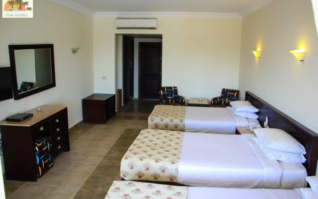 Viva Sharm Hotel