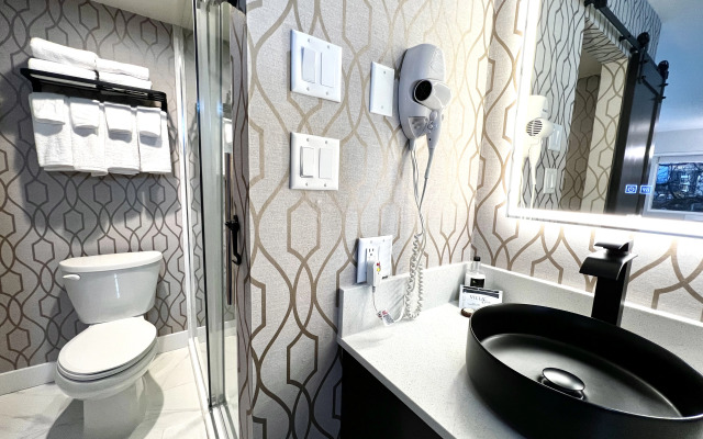 The Vic, Ascend Hotel Collection