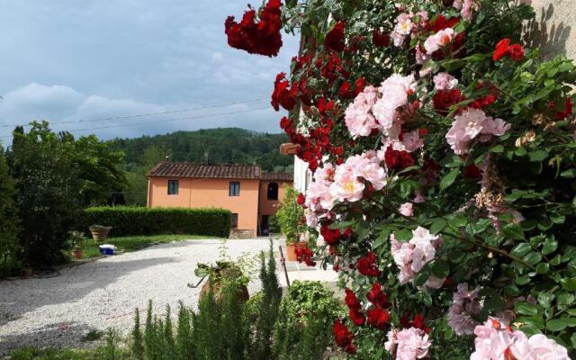 Comfortable Holiday Home in Pistoia With Pool