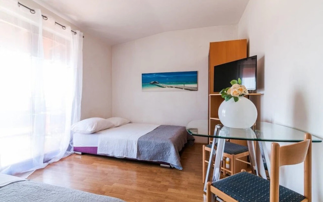 Brane - Free Parking - A5 Martina