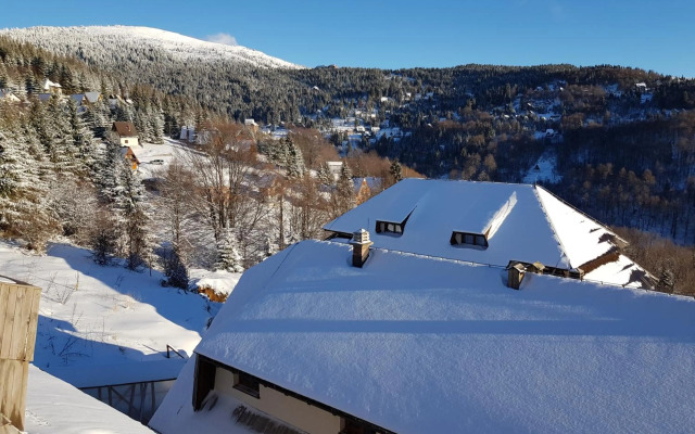 Ski & Relax Apartment