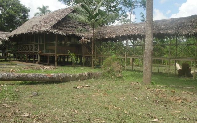 Amazon King Lodge