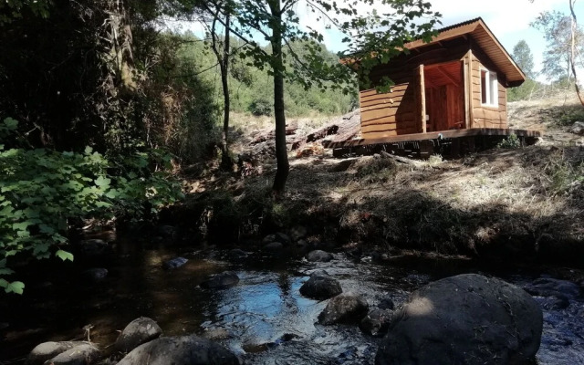 Entre Pampa y Bosque