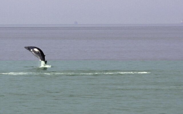 Restaurant Motel L'Étoile du Nord