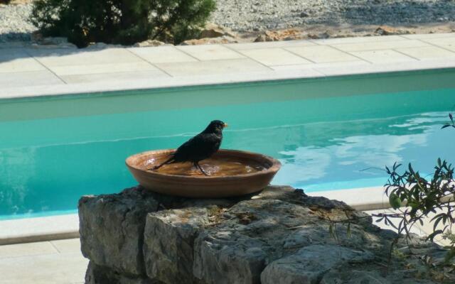 Apartments Splendissima Krk
