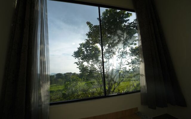 The Solace Bir