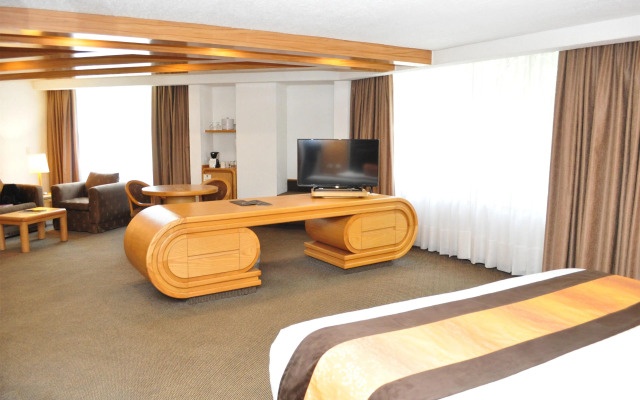 Royal Pedregal Hotel