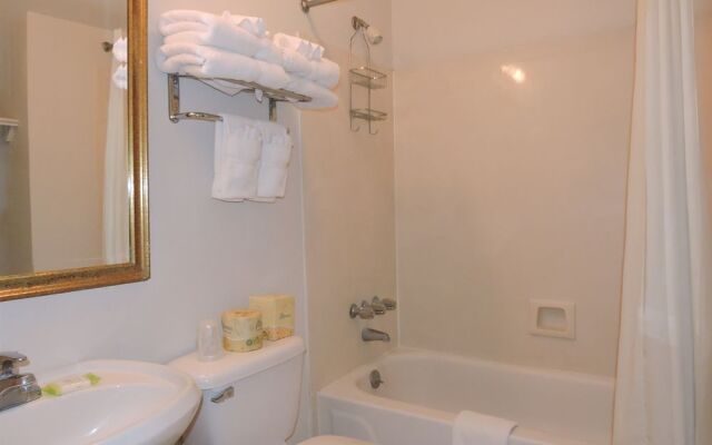 New Orleans Courtyard Hotel and Suites by the French Quarter