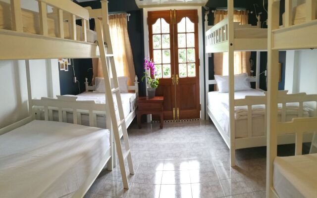 Bed In Town - Hostel