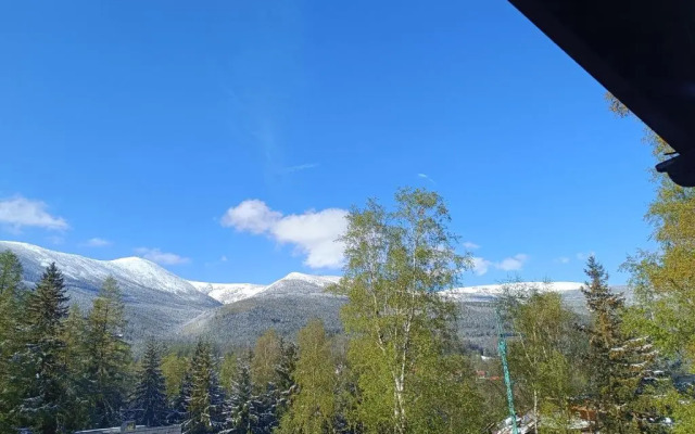 Willa Alaska