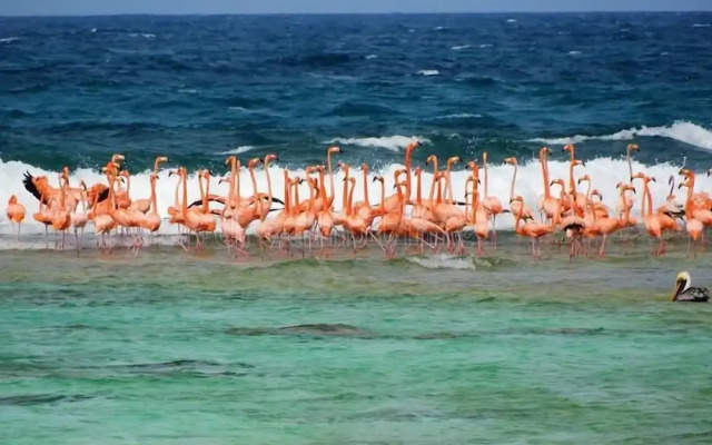 Posada Acuario