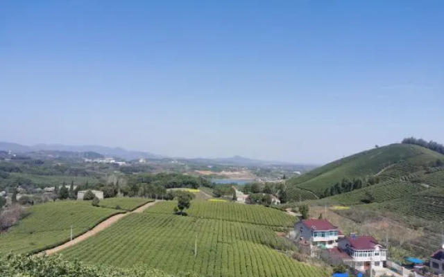Happiness Farm
