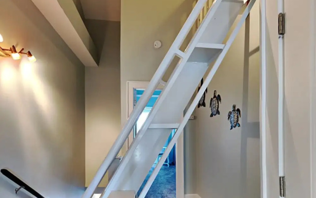 Sharp Reef #4 - Endless Summer