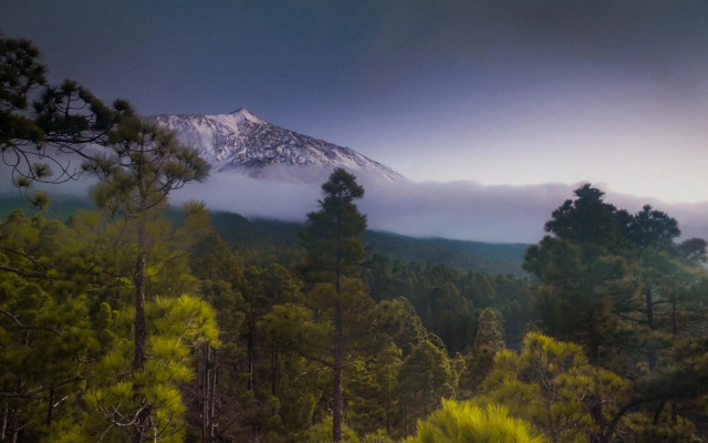 Estudio rural - Nature & Relax