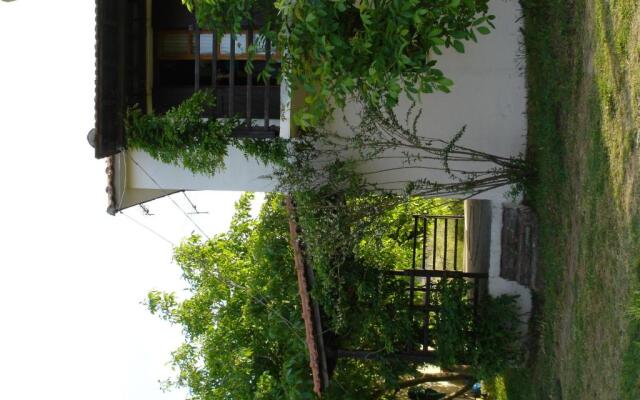Villa Mina