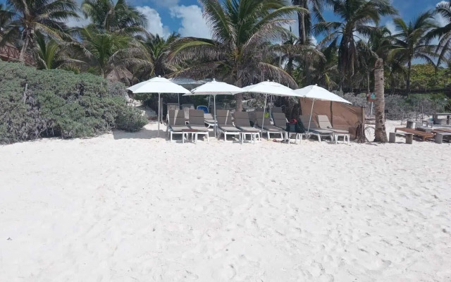 Playa Las Palmas Glamping Tulum