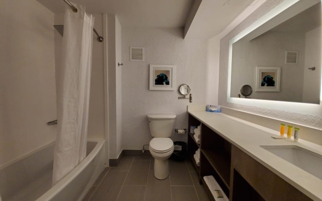 Holiday Inn Resort Kissimmee by the Parks