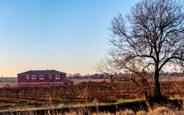 Villa Piscine au cœur des vignes