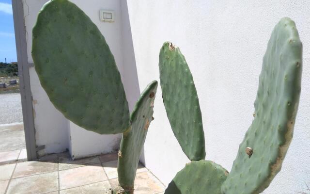 Bilo Castiglione in Porto Cesareo