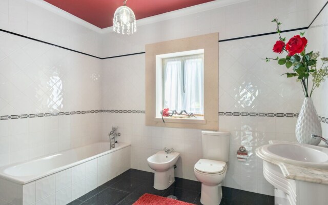 Dolivia Cela in Cela