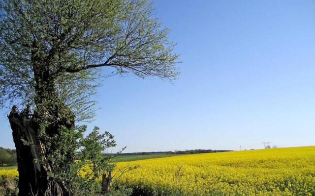 Ferienhaus Zirchow 3