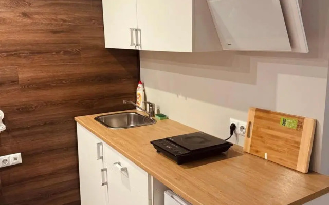 Eksporta central apartment