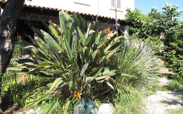 Guest House Maria Bilicic 2