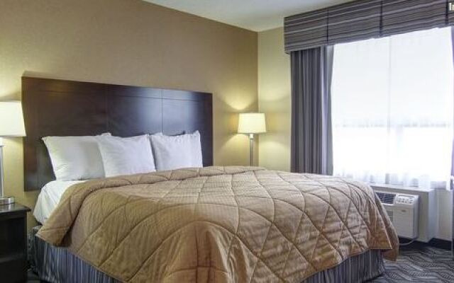 Travelodge Ambassador Bridge Windsor