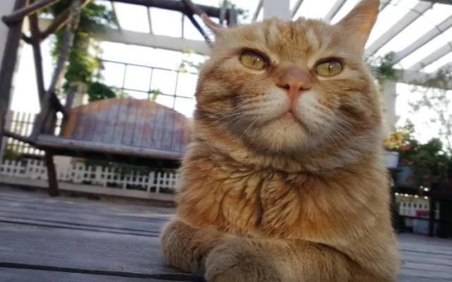 Luoyang Anximen Young Hostel