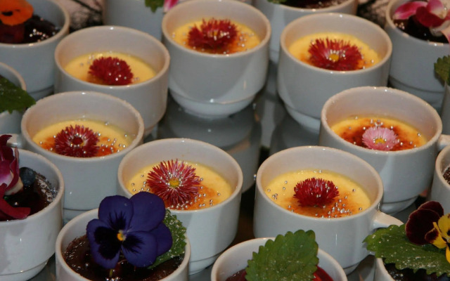 BEST WESTERN Hotel Vista