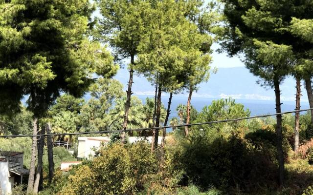 Studio Kalypso