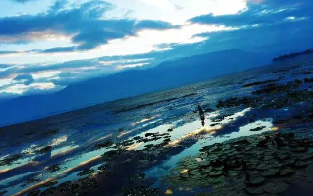 lianhua  shuiyun  sea view  lnn