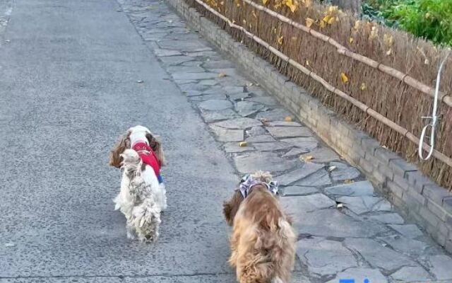 Xiangyang is like your hospital