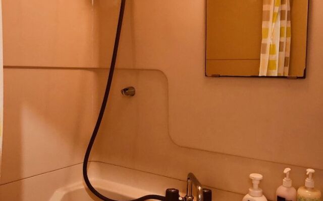 Fushimi-IVY Bunk bed twin 2