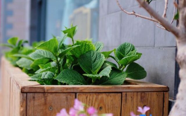 Xiao-zhu Zen buddhist lodge