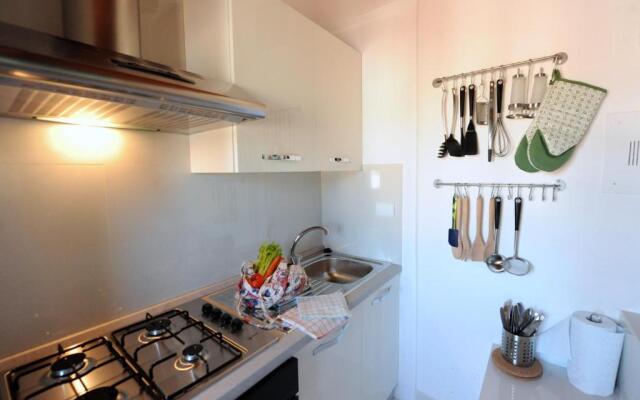 Acacia Firenze - Ciclamino