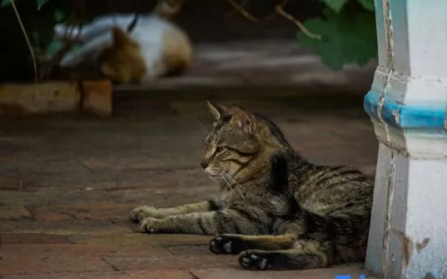 Consulate1890 Kashgar