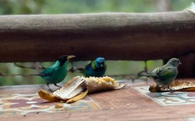 Chalés e Suites Manacá