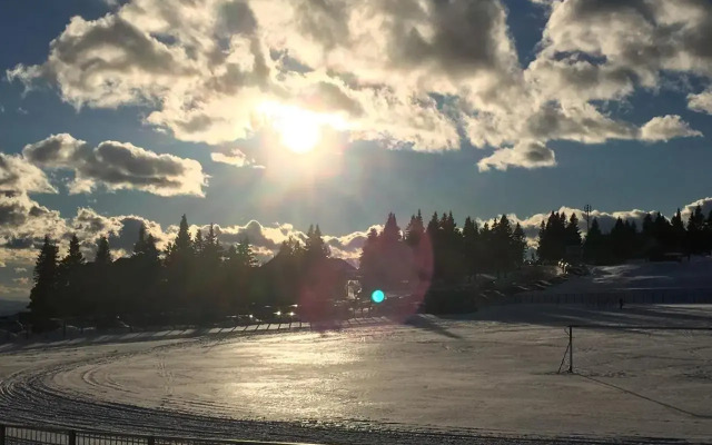 Apartma Rogla - Gaber 98